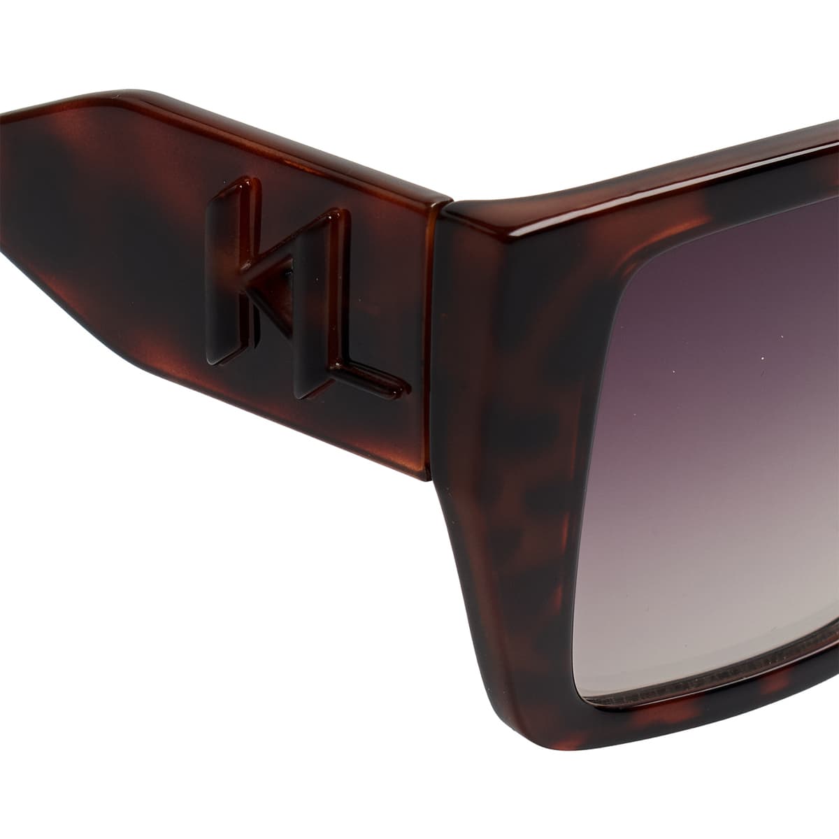 Women's Sunglasses Karl Lagerfeld Brown