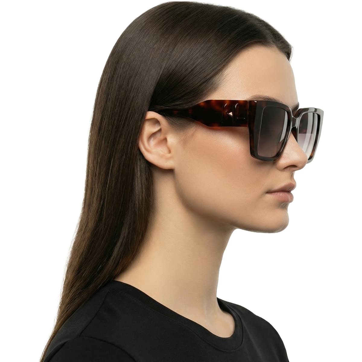 Women's Sunglasses Karl Lagerfeld Brown