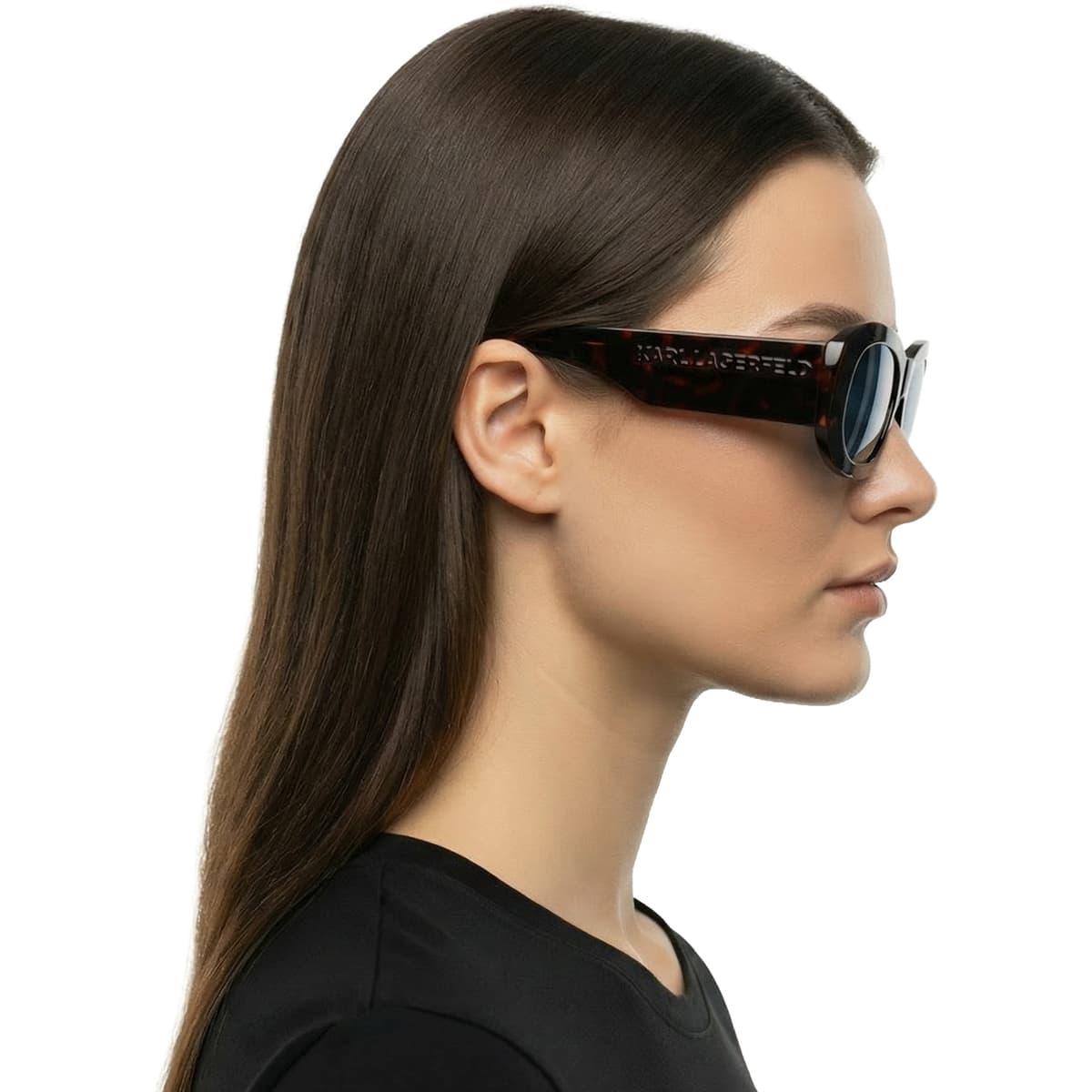 Women's Sunglasses Karl Lagerfeld Brown