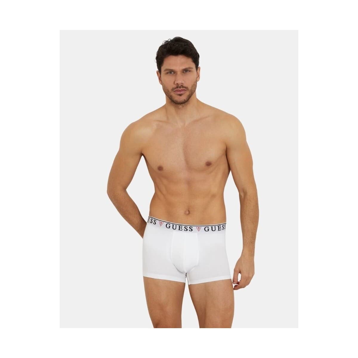 Men's Boxer Briefs Guess Multicolor