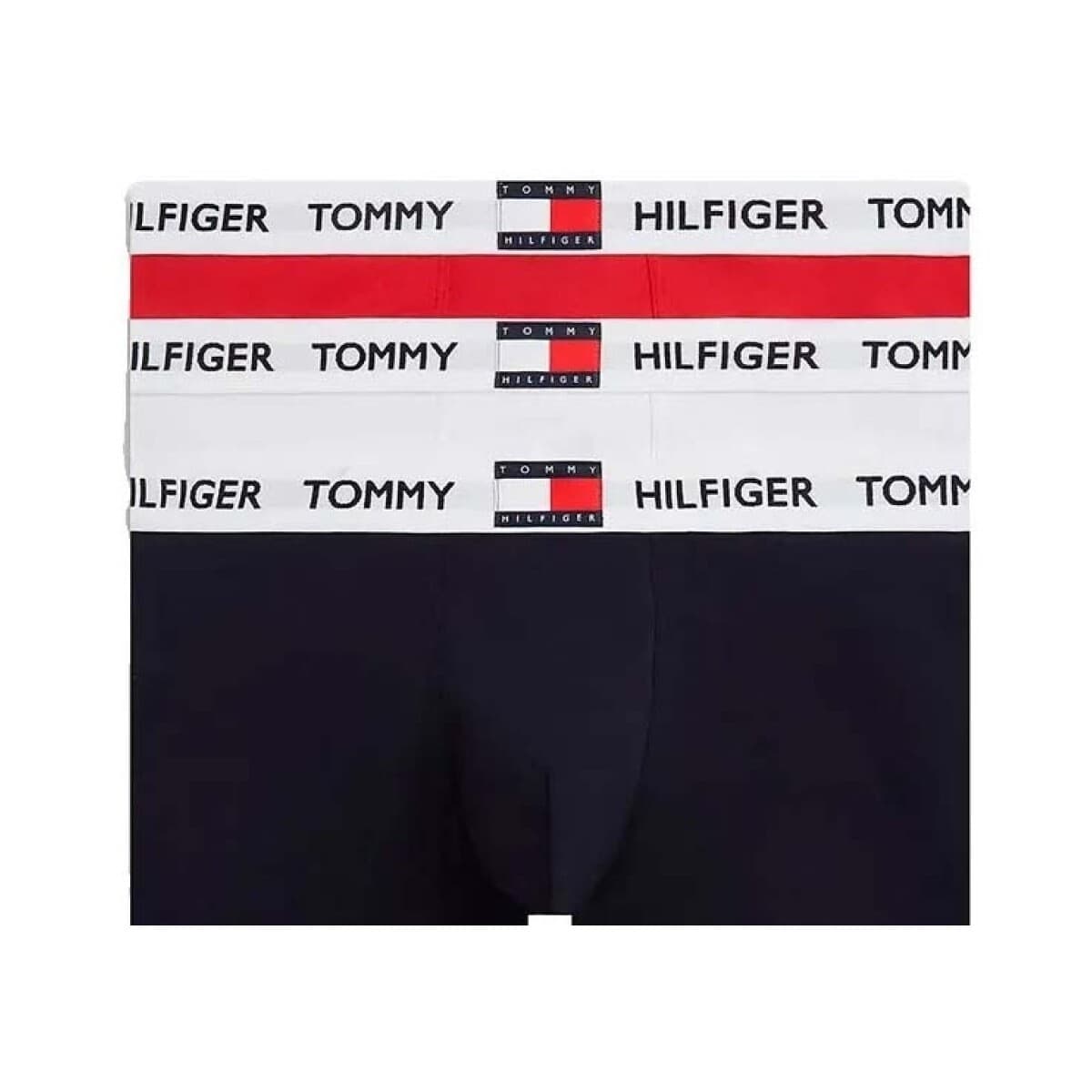 Men's Boxer Briefs Tommy Hilfiger Multicolor