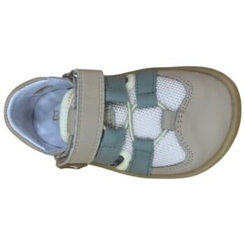 Boys' Sneakers Blanditos Gray
