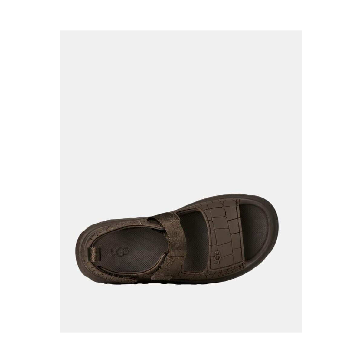 Women's Platforms UGG Brown