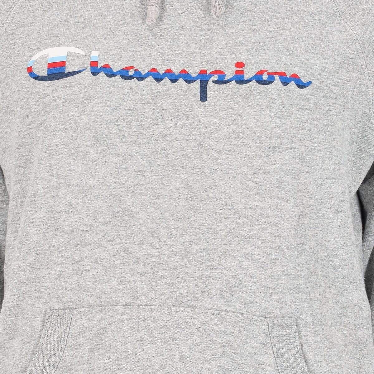 Women's Sweatshirts Champion Gray