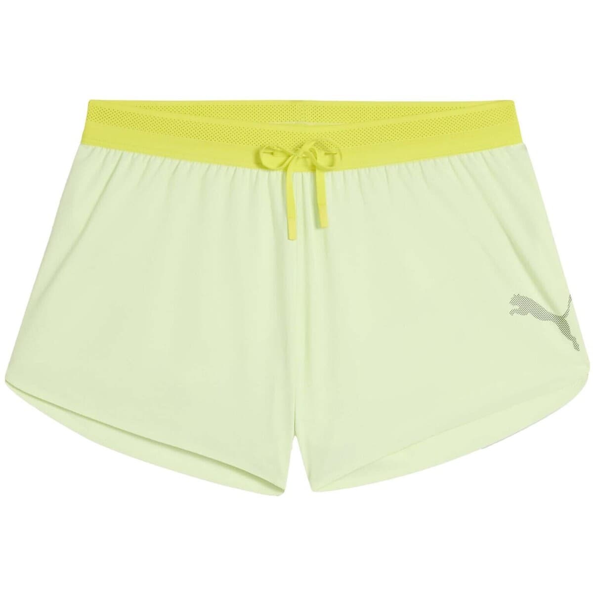 Men's Shorts Puma Green