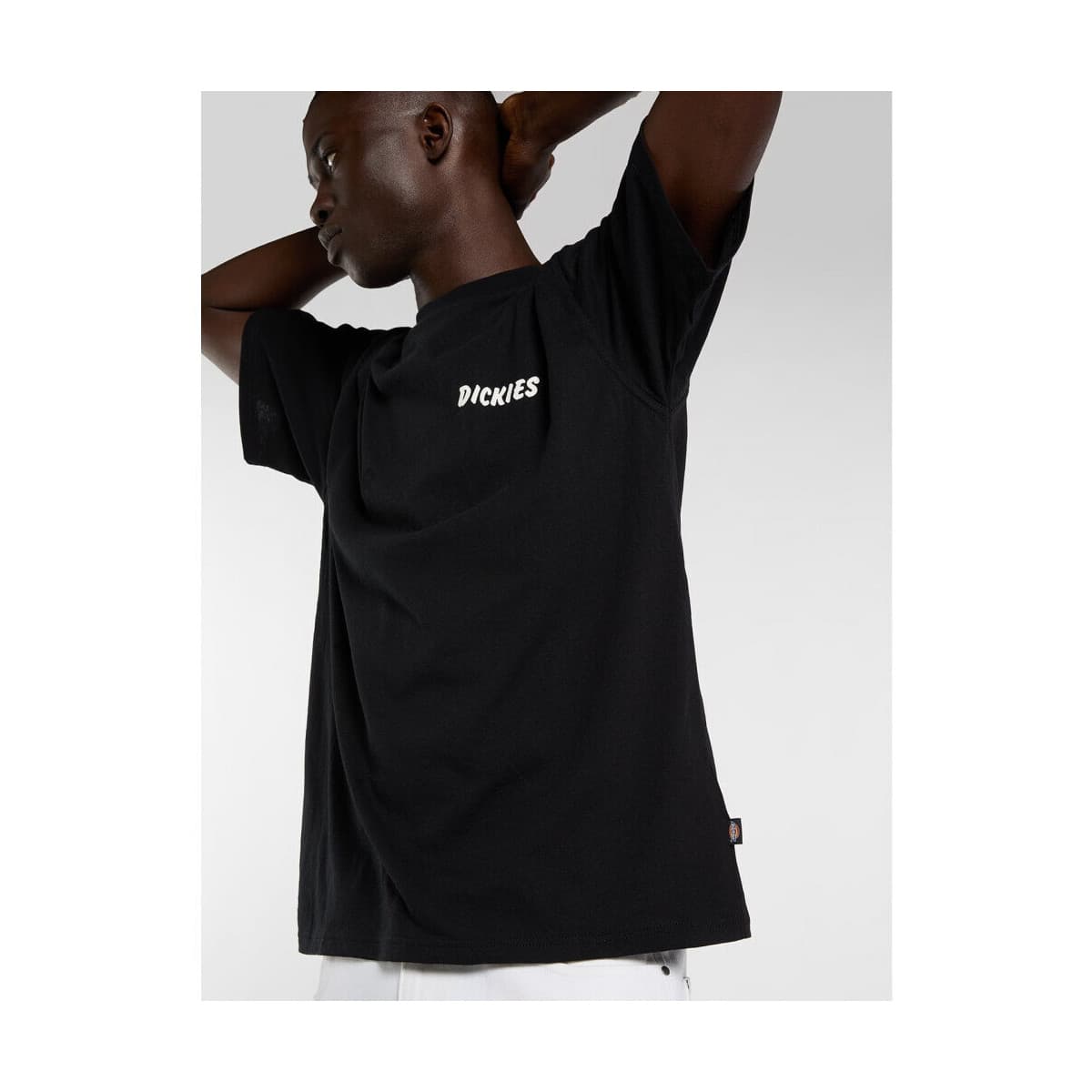 Men's T-Shirts Dickies Black