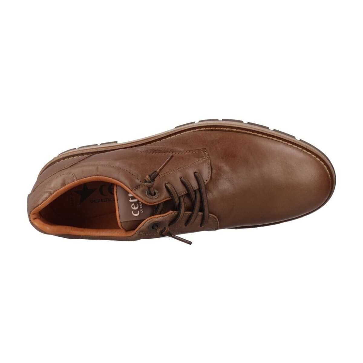 Men's Derby Shoes Cetti Brown