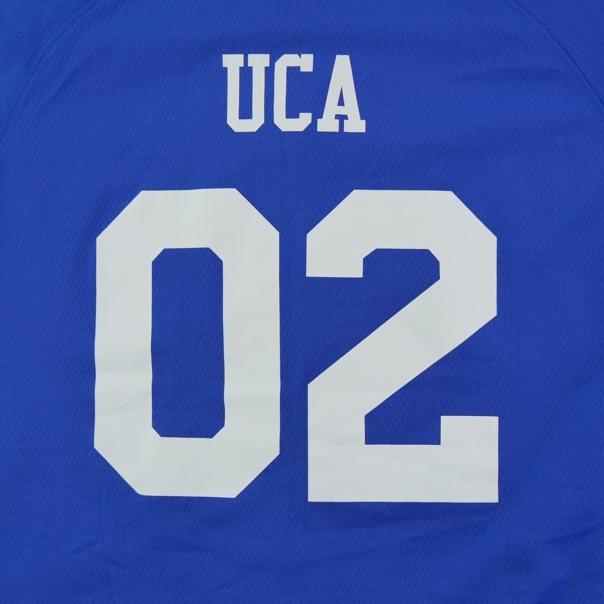 Men's Sports T-Shirts Champion Blue