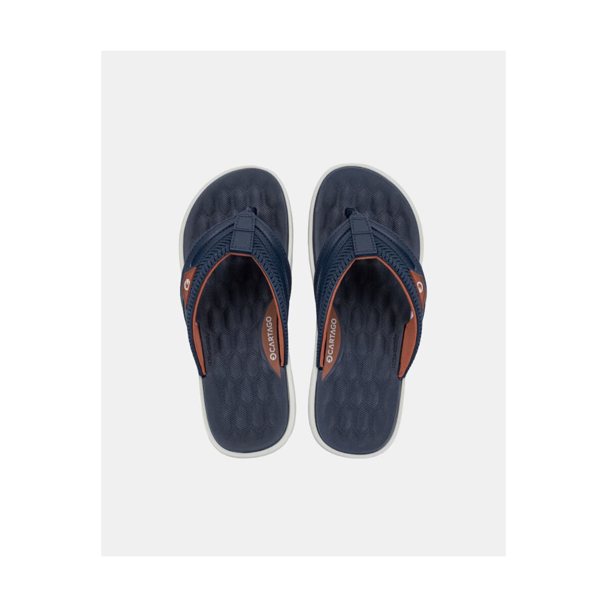 Men's Flip Flops Cartago Blue