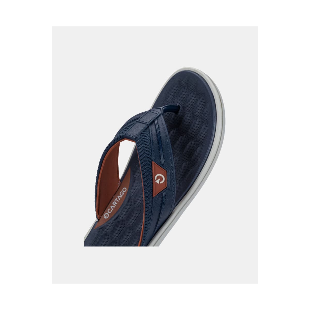 Men's Flip Flops Cartago Blue