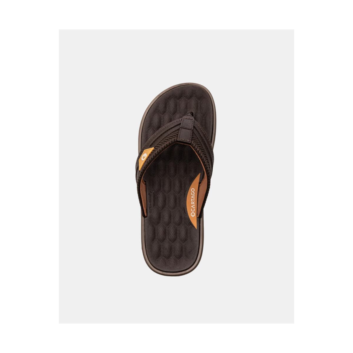 Men's Flip Flops Cartago Brown