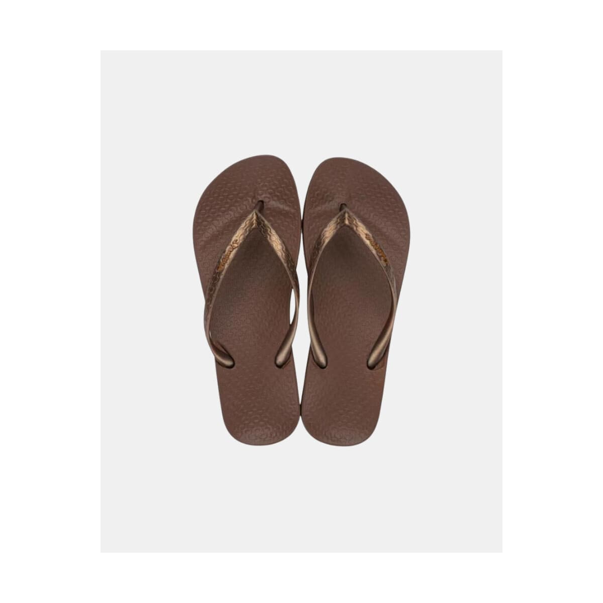 Women's Sandals Ipanema Brown