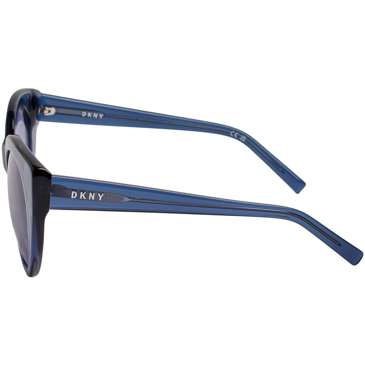 Women's Sunglasses Dkny Blue