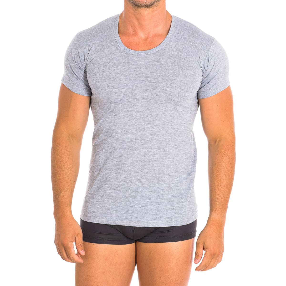 Men's T-Shirts Q-En Gray