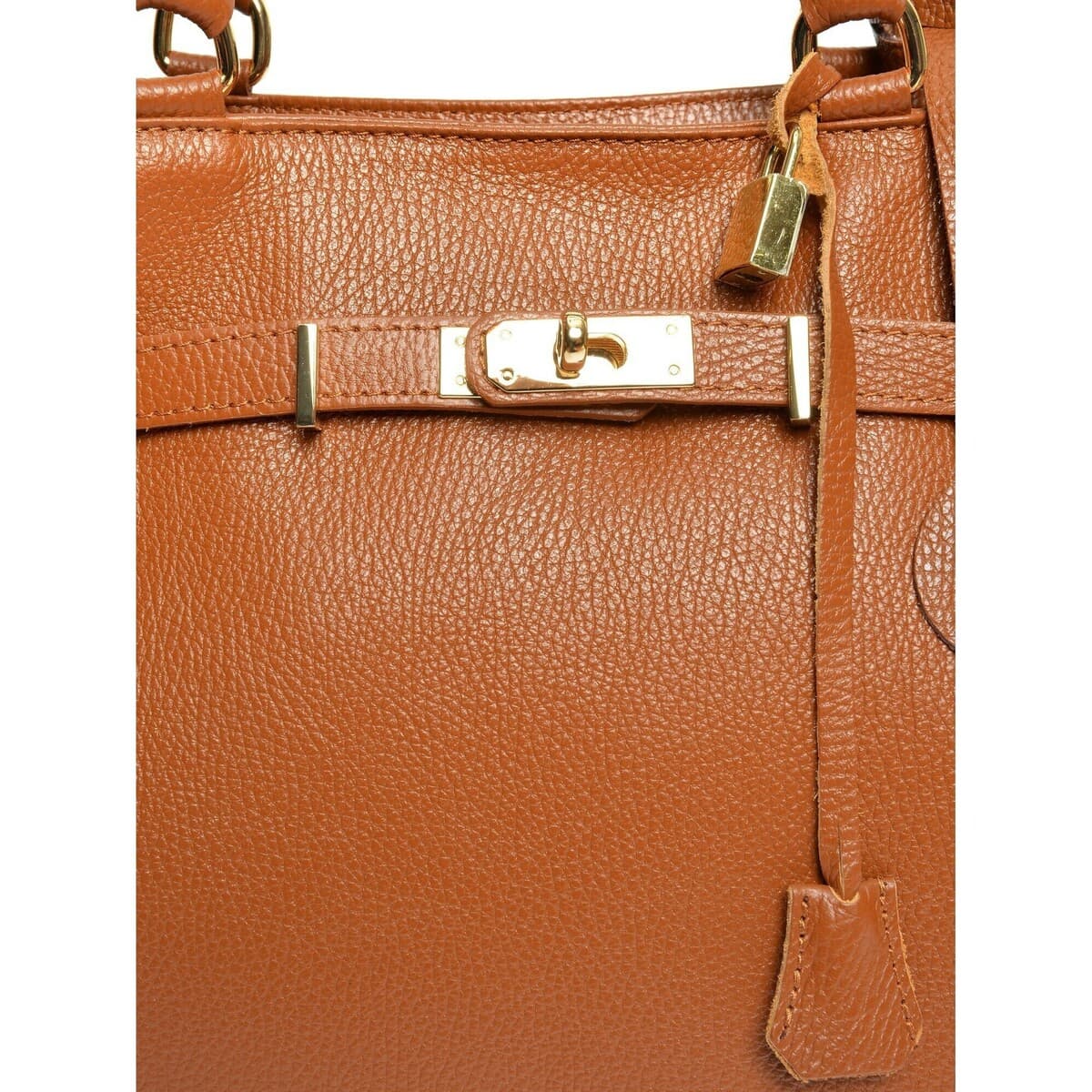 Women's Handbags Anna Luchini Brown
