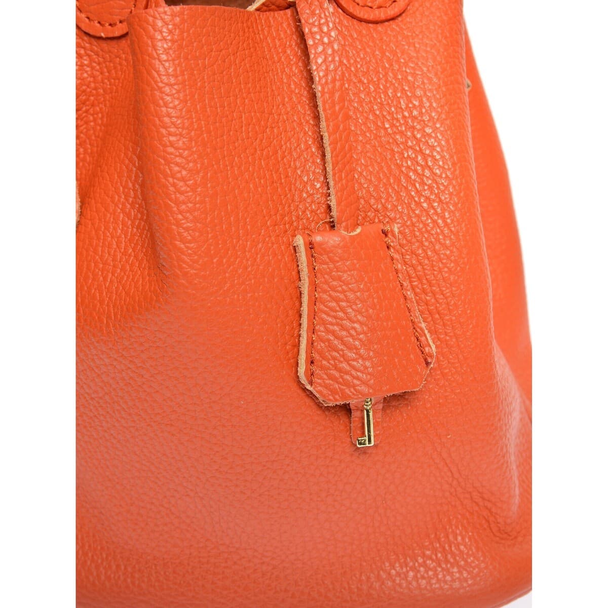 Women's Handbags Anna Luchini Orange