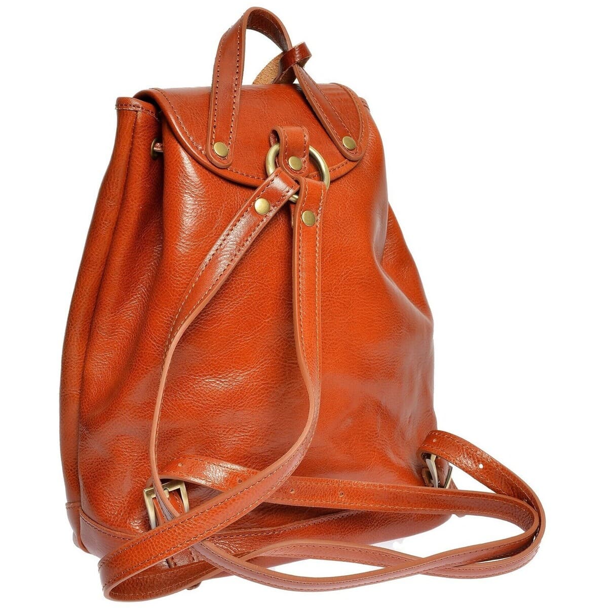 Women's Backpacks Anna Luchini Brown