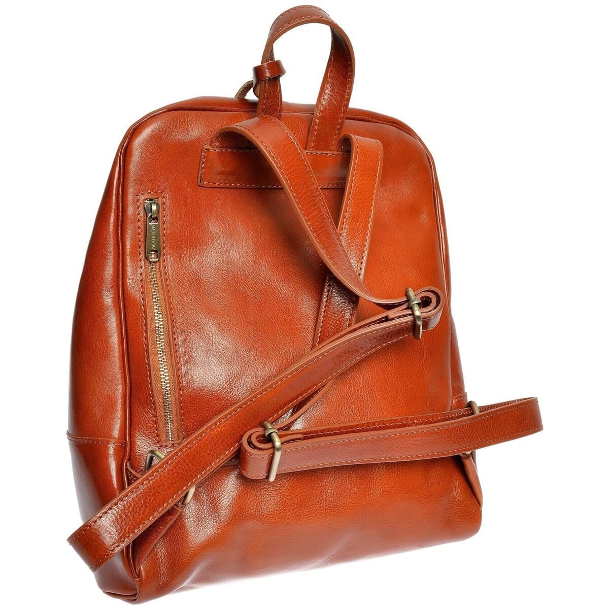 Women's Backpacks Anna Luchini Brown