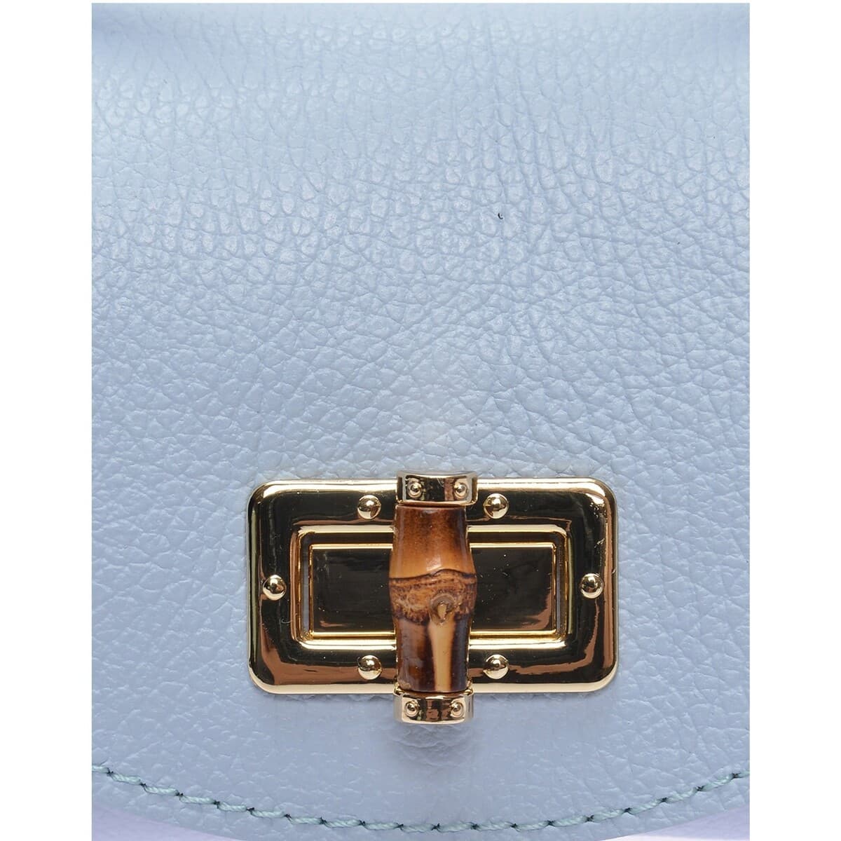 Women's Handbags Anna Luchini Blue