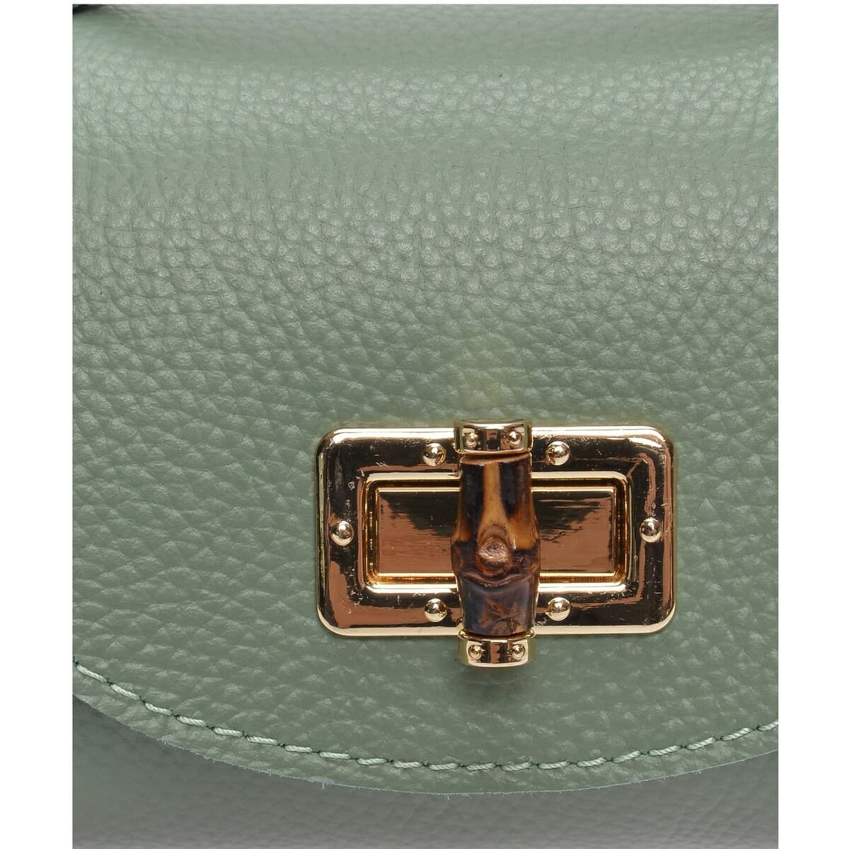 Women's Handbags Anna Luchini Green