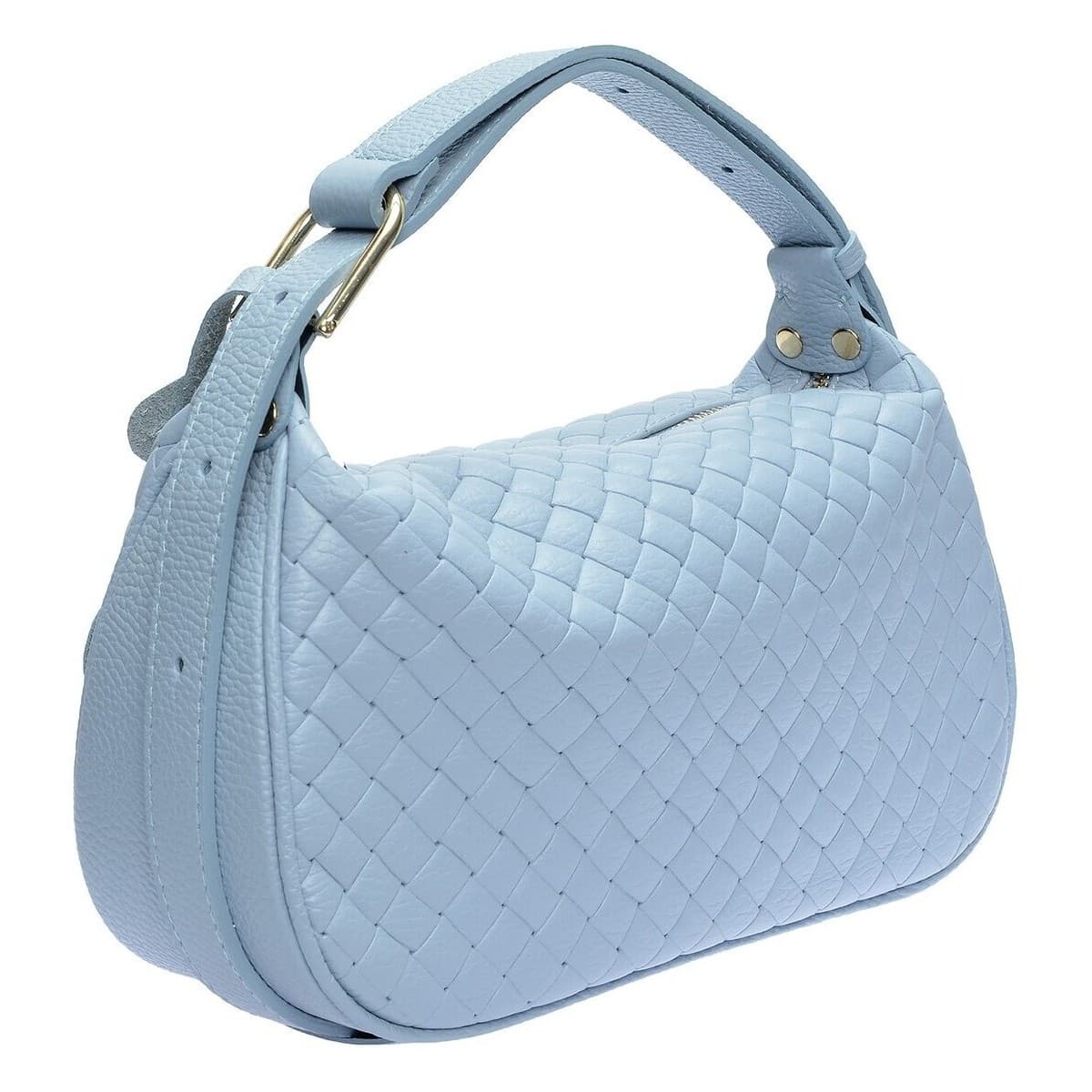 Women's Handbags Anna Luchini Blue