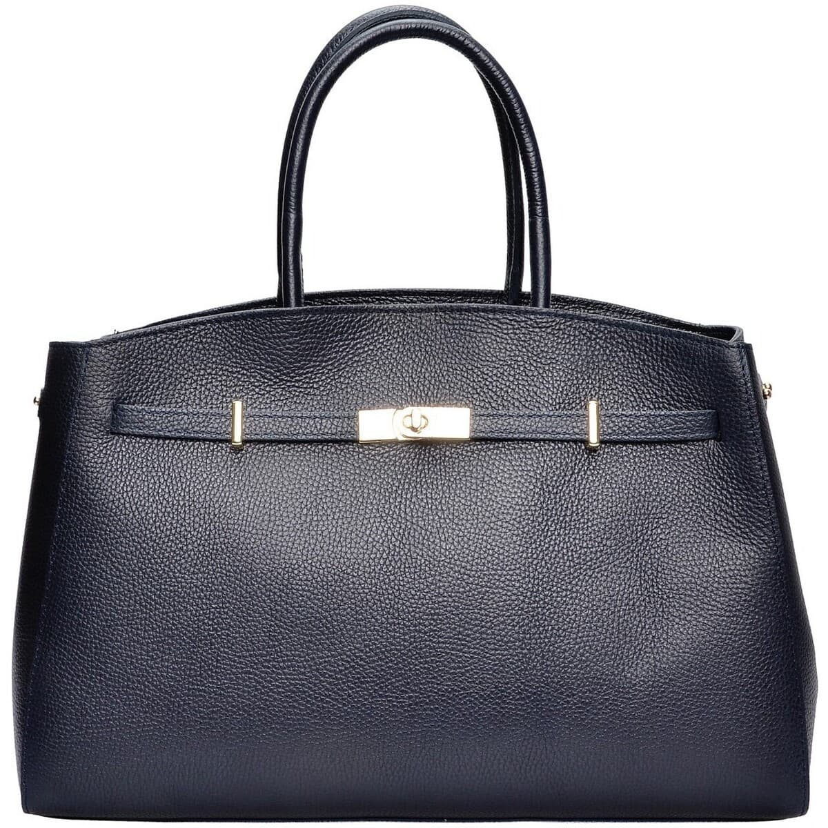 Women's Handbags Anna Luchini Blue