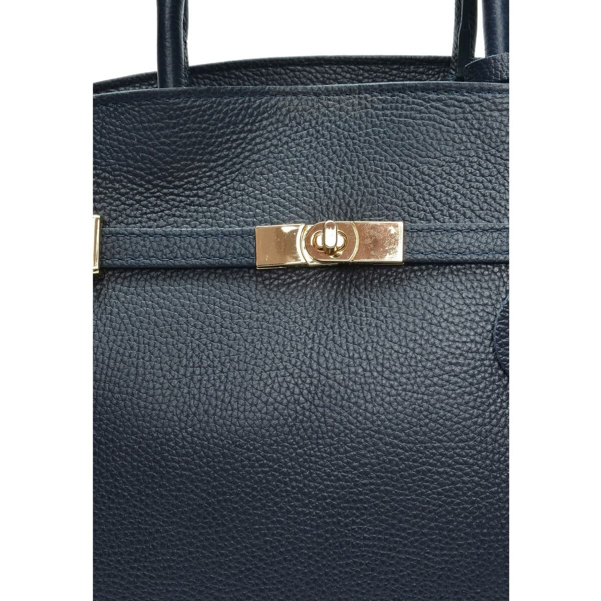 Women's Handbags Anna Luchini Blue