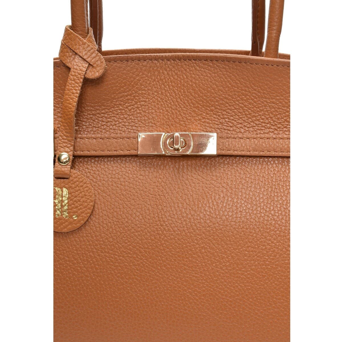 Women's Handbags Anna Luchini Brown