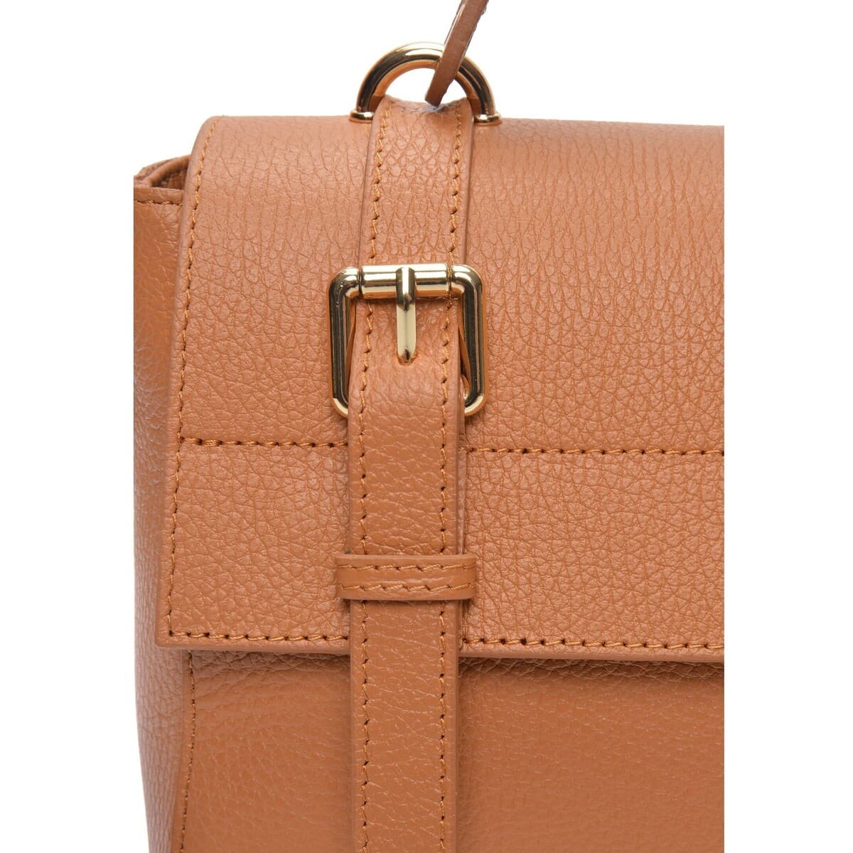 Women's Handbags Anna Luchini Brown