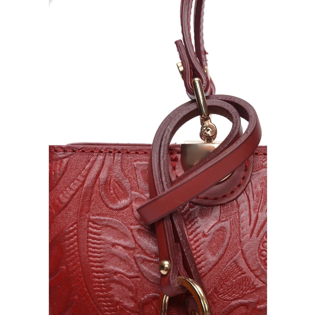 Women's Handbags Anna Luchini Red