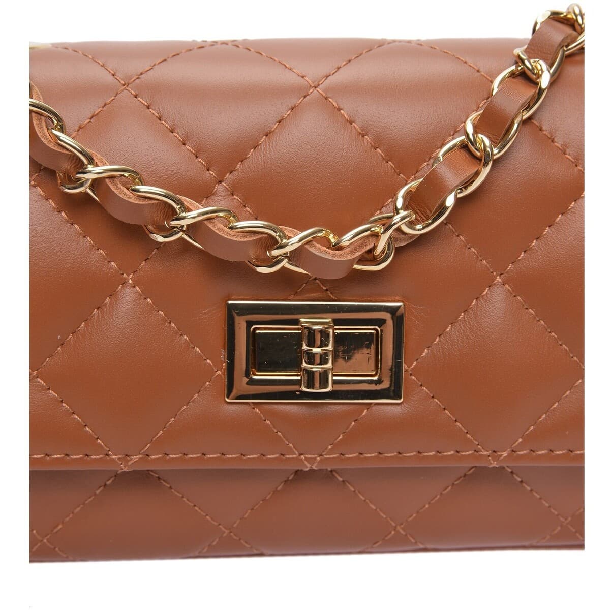 Women's Shoulder Bags Luisa Vannini Brown