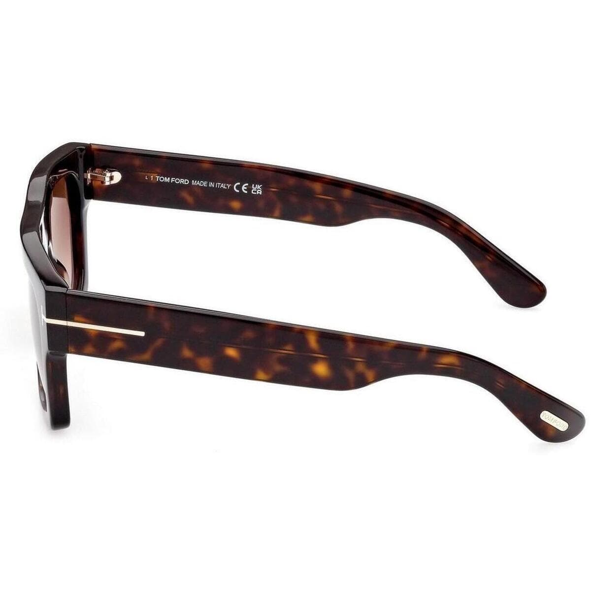 Men's Sunglasses Tom Ford Brown