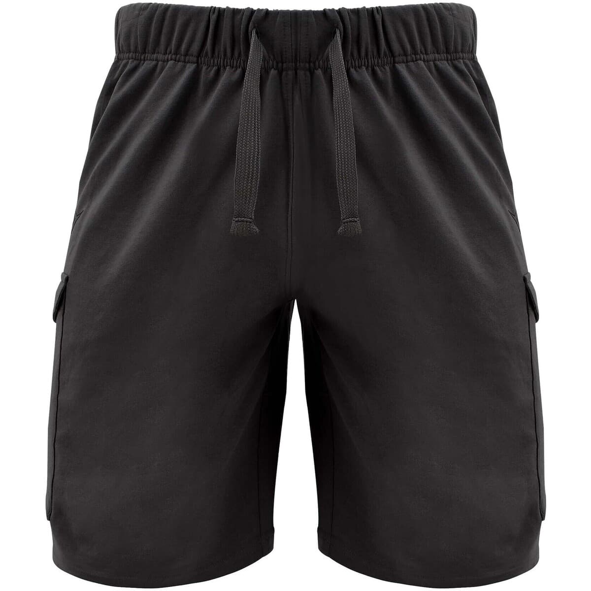 Men's Shorts Legea Gray