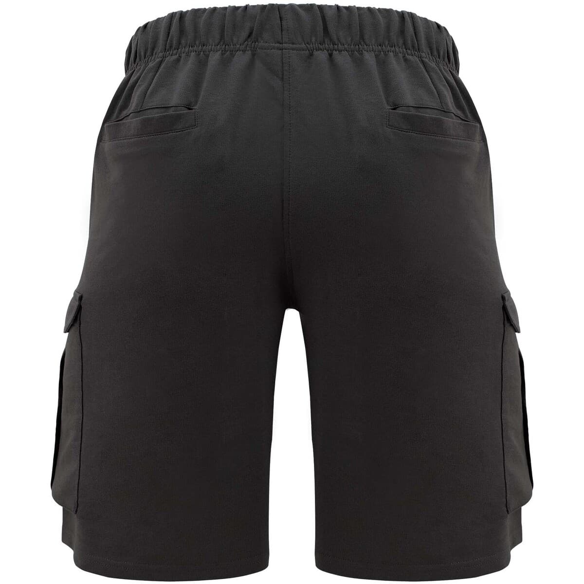 Men's Shorts Legea Gray