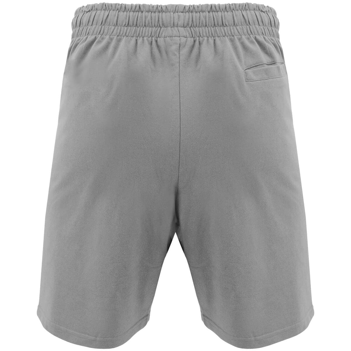 Men's Shorts Legea Gray