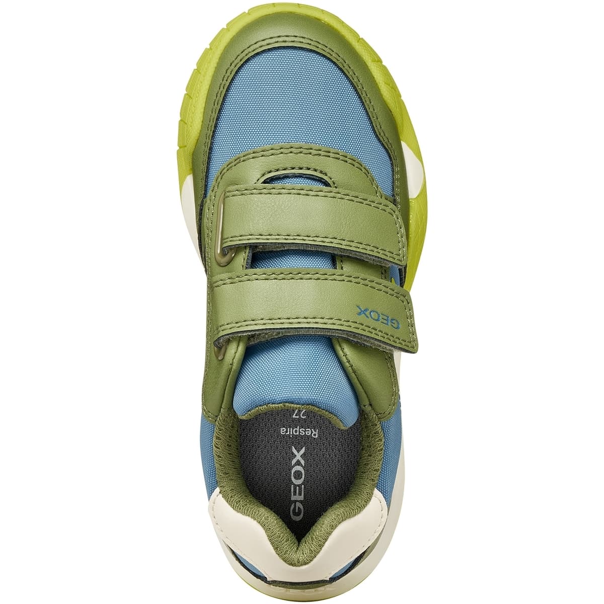 Girls' Sneakers Geox Green