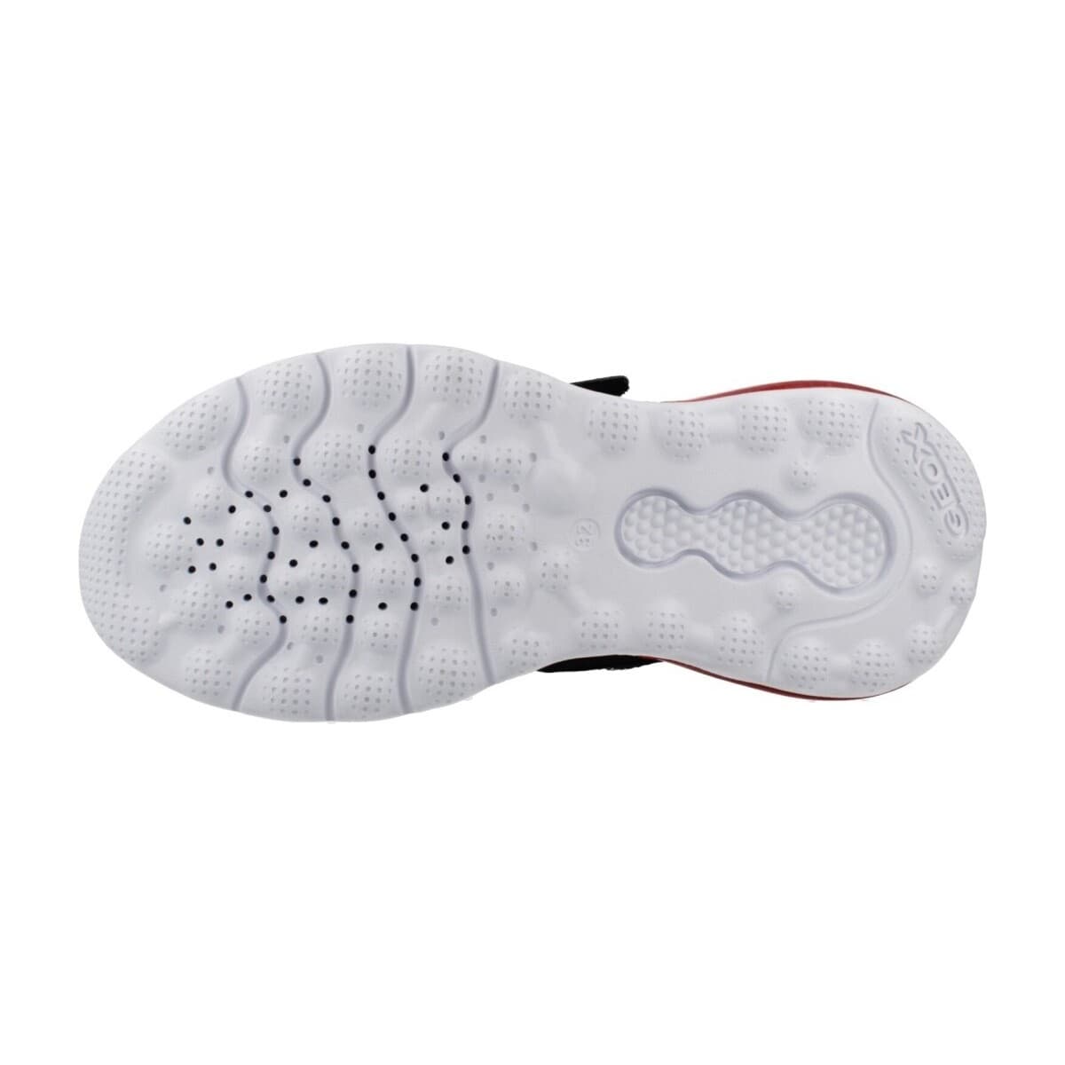 Boys' Sneakers Geox Black