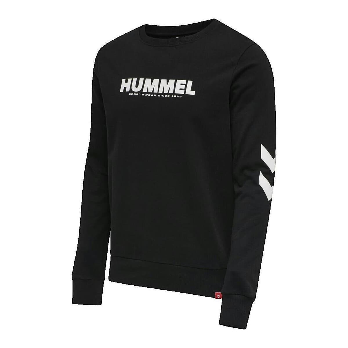 Men's Sports Hoodies & Sweatshirts hummel Blue
