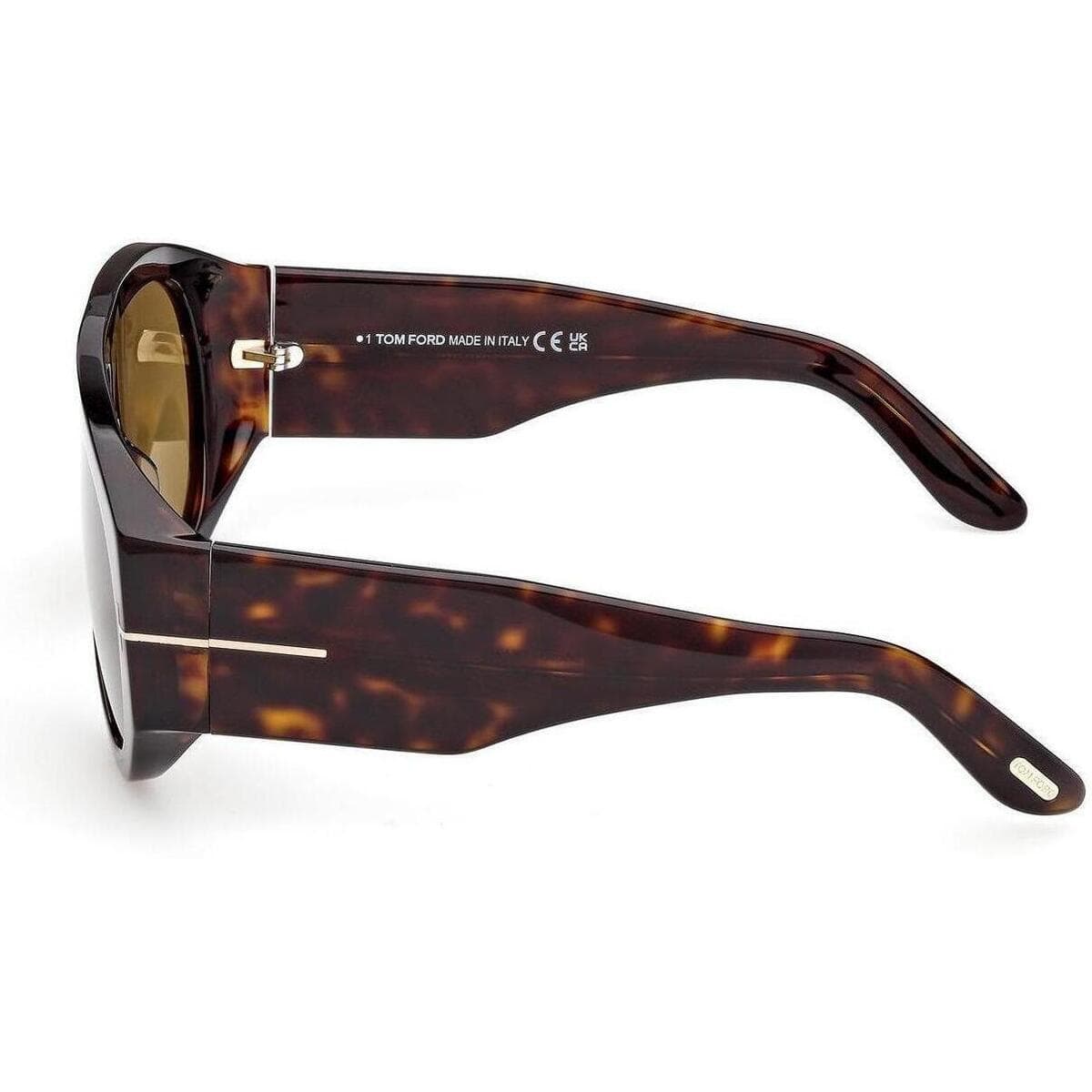 Men's Sunglasses Tom Ford