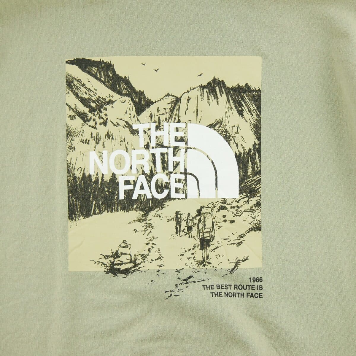 Women's Sweatshirts The North Face Green