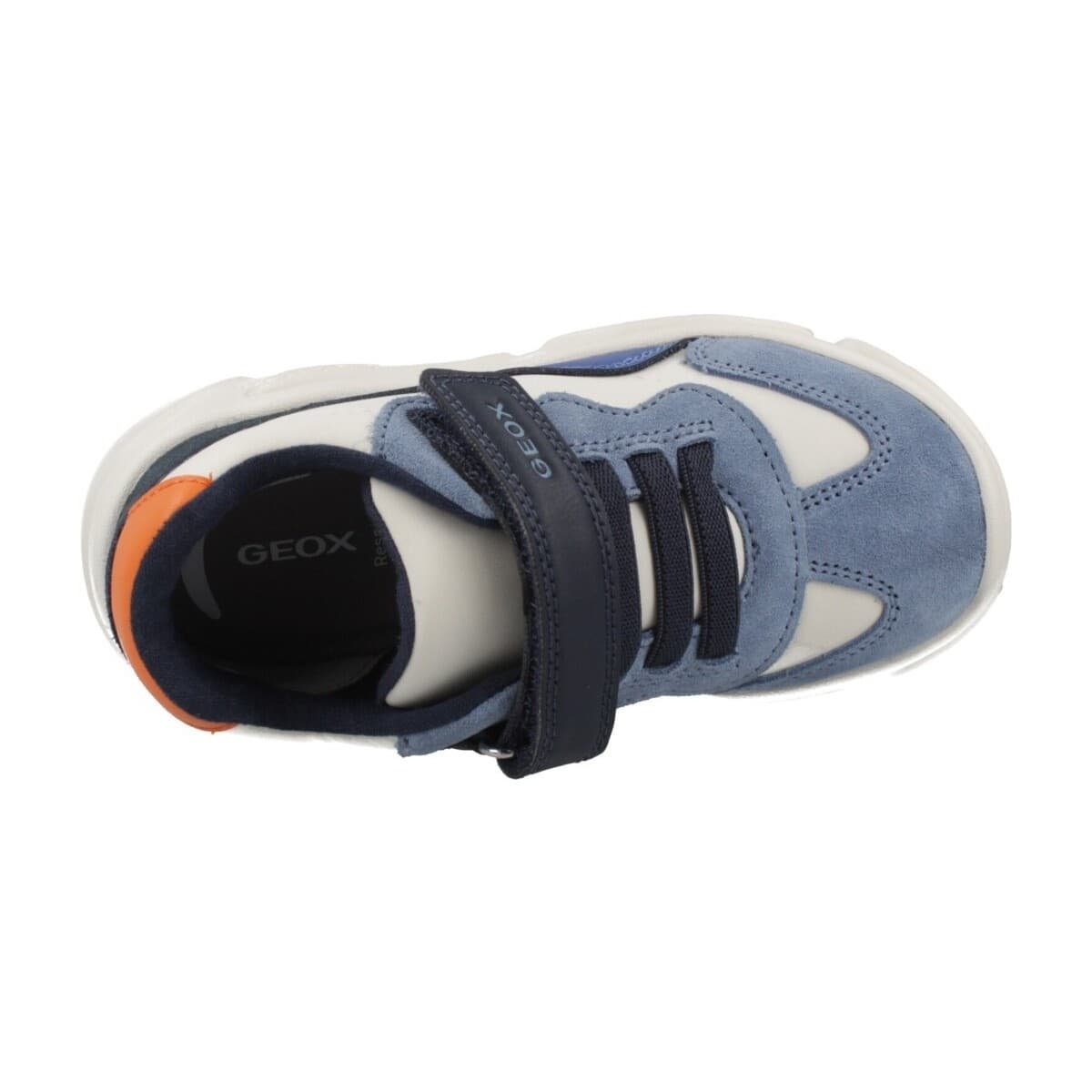 Boys' Sneakers Geox Blue