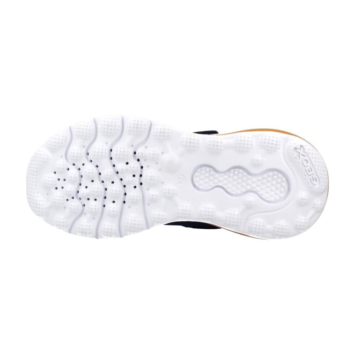 Boys' Sneakers Geox Blue