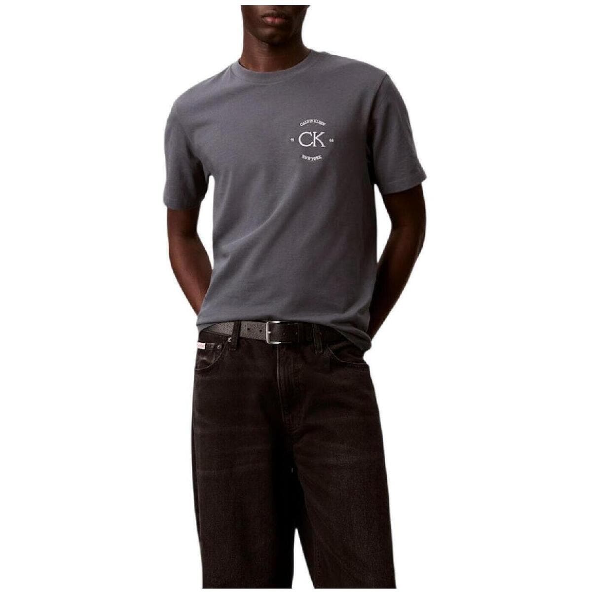 Men's T-Shirts Calvin Klein Gray