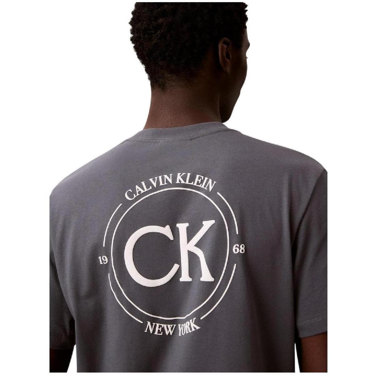 Men's T-Shirts Calvin Klein Gray