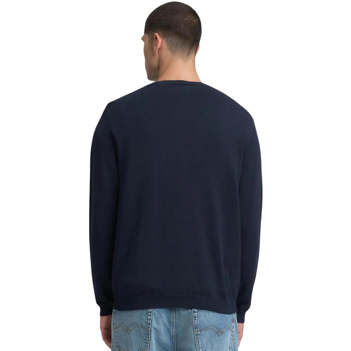 Men's Sweaters Replay Blue