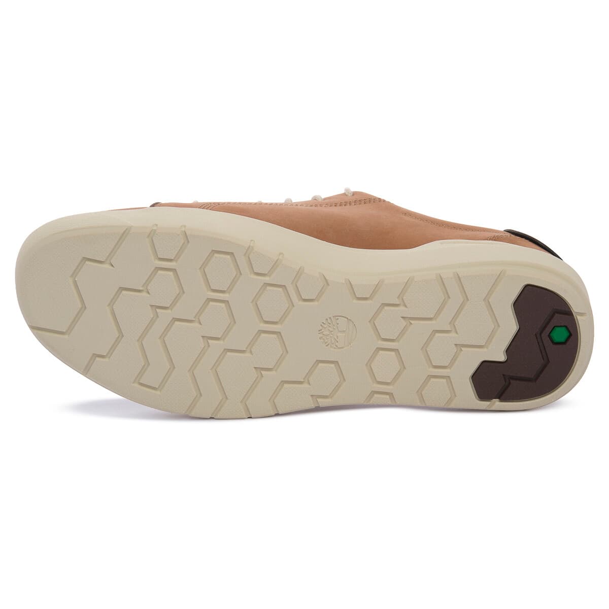 Men's Sneakers Timberland Brown