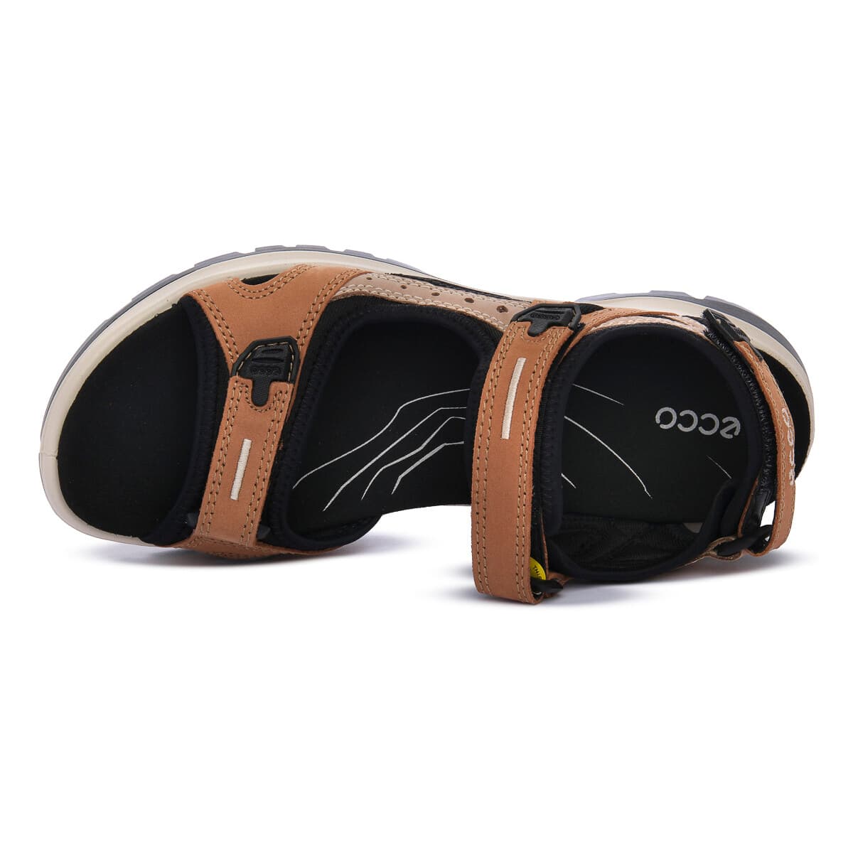 Women's Sports Sandals Ecco Brown