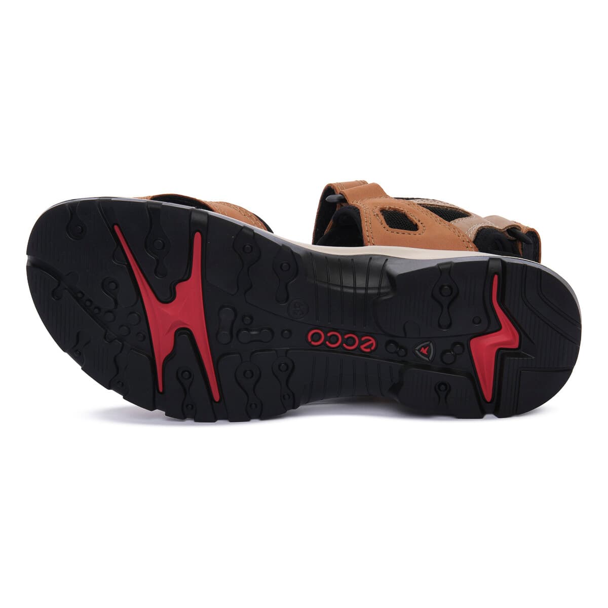 Women's Sports Sandals Ecco Brown