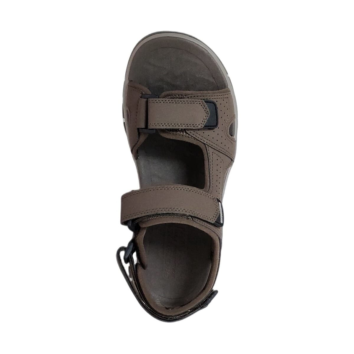 Men's Sports Sandals Skechers Brown