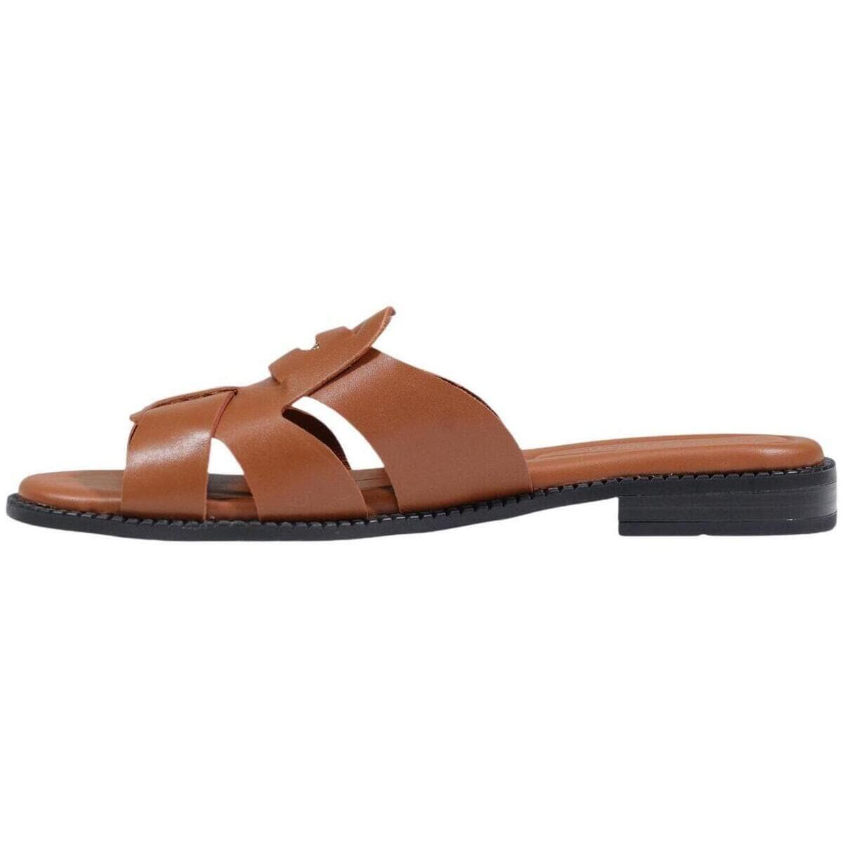 Women's Flip Flops Tommy Hilfiger Brown